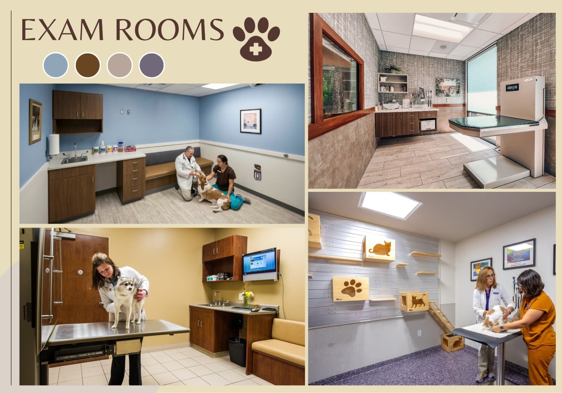 Daily Cleaning Checklist for Veterinary Clinics (Busy Day Version)