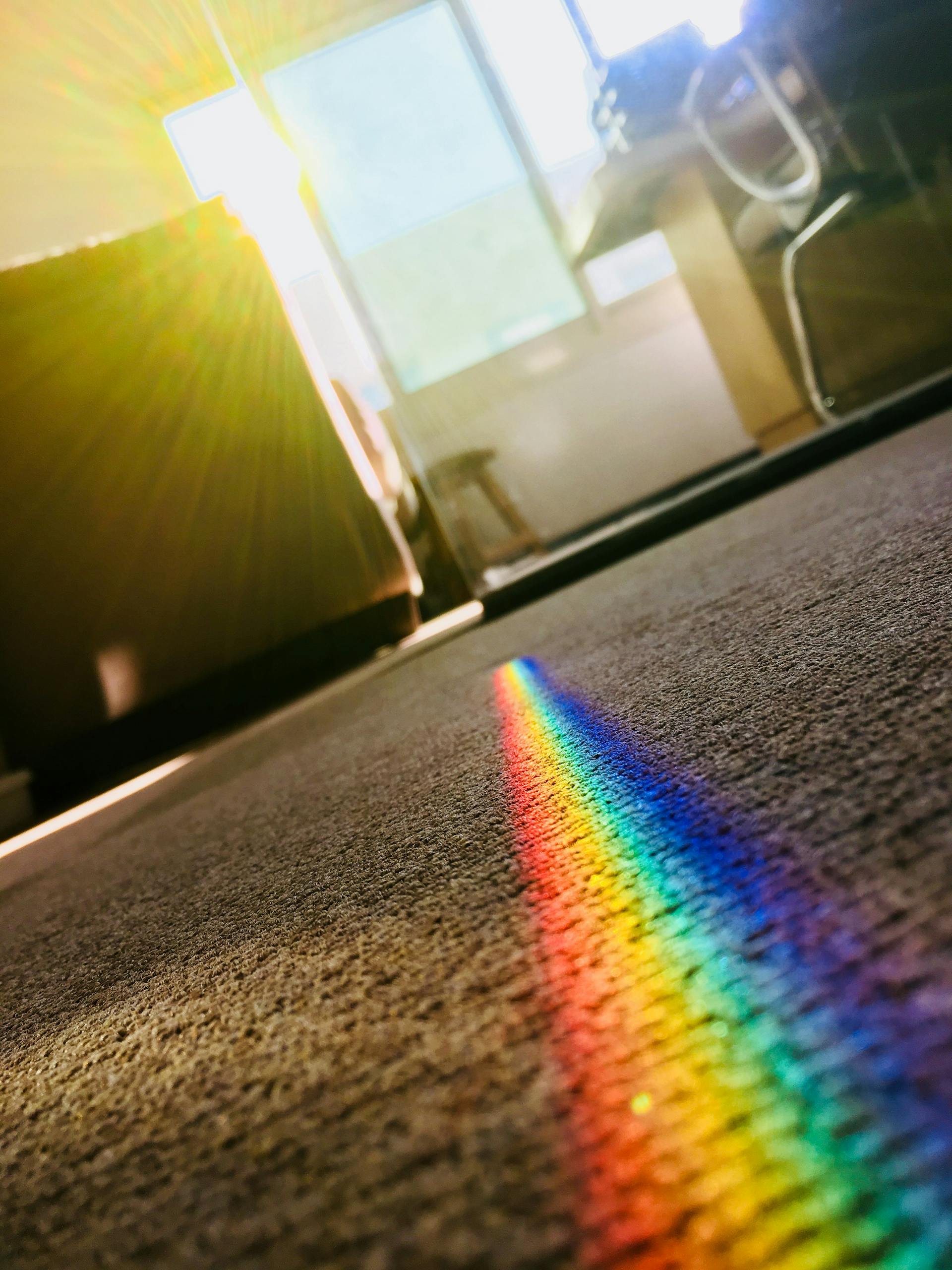 Carpet Cleaning Service
