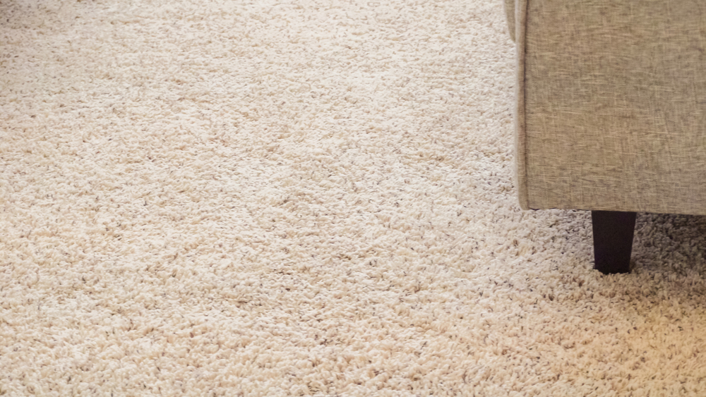 Clean Carpet