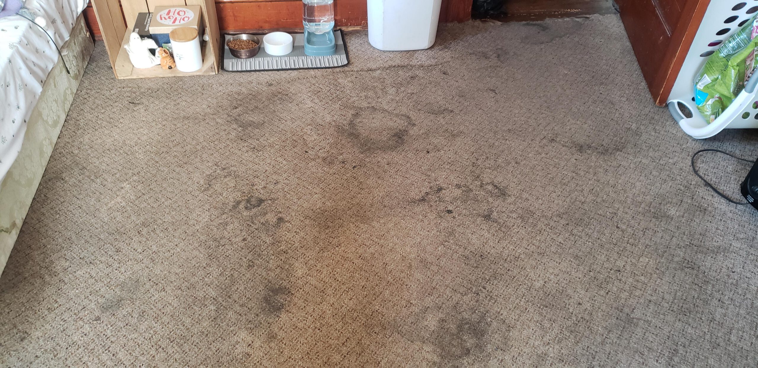 Dirty Carpet
